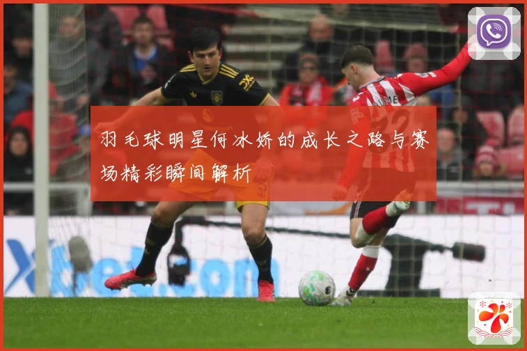 羽毛球明星何冰娇的成长之路与赛场精彩瞬间解析