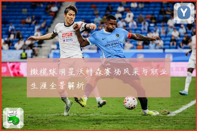 橄榄球明星沃特森赛场风采与职业生涯全景解析